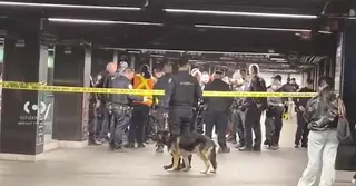 নিউ ইয়র্কে ছুরি দিয়ে হামলা; আহত তিন, পুলিশের গুলিতে নিহত হামলাকারী